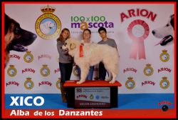 ampliar
